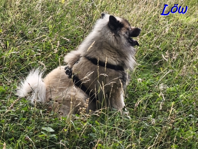 14.7.2025 - Dwix  hat was vor